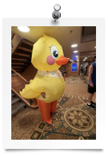577163008_4171832483093212_4593255174754843512_n