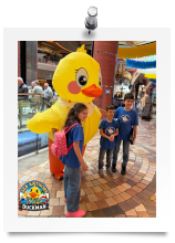 2026-05-02_07-29-19_718