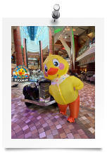2026-05-02_07-29-19_969