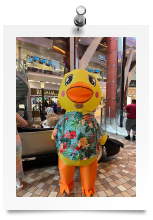 Messenger_creation_BF4D2174-878C-40FA-BB81-3936EDEDDEBA
